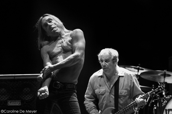Iggy And The Stooges