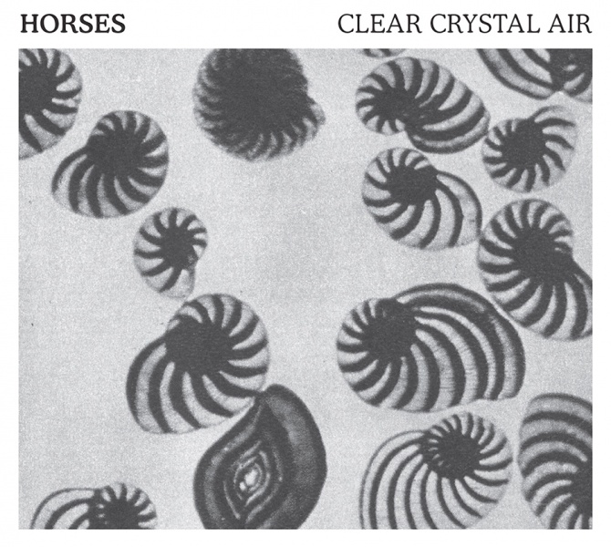 horses - clear crystal air